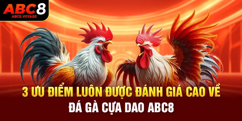 3 ưu điểm luôn được đánh giá cao về đá gà cựa dao ABC8