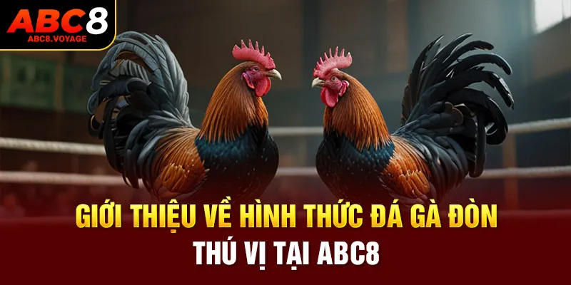 Giới thiệu về hình thức đá gà thú vị tại ABC8