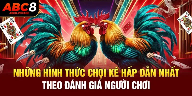 Những hình thức chọi kê hấp dẫn nhất theo đánh giá người chơi